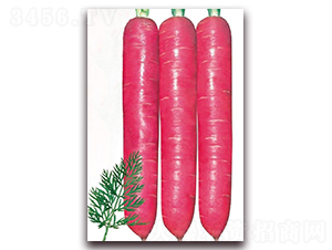 �ϼt��һ̖(h��o)-���}���N��-�|������