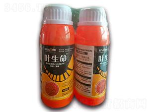 ���Ͷ๦�����＼�g(sh��)�N��-�~����-���f�_(d��)���r��