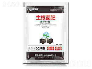 ��������-�ÌW��