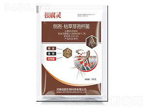 ���ߡ��ݲ�ѿ�ߗU��-�ÌW��