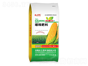 ��ጷ���-���󻯹�