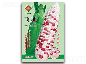 �wԽ-Ŵ���׷N��-�����N�I(y��)