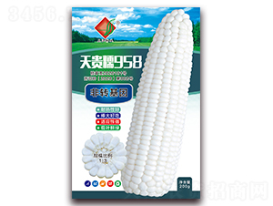 ���FŴ958-Ŵ���׷N��-�����N�I(y��)