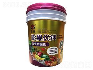 20kg�����(y��u)�-�h��