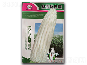 ʥ������Ŵ-Ŵ���׷N��-¡�_