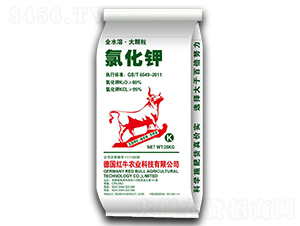 ���w���Ȼ��-�����S