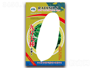 �Ž����t�}��-�}���N��-�\�ŷN�I(y��)