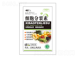 ��(x��)��������-������ 