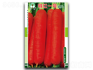 �ؼtһ̖-���}���N��-��ʢ�@