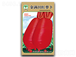 ��M��t�}��-�}���N��-��ʢ�@