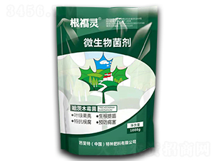 ����ľù��-�����