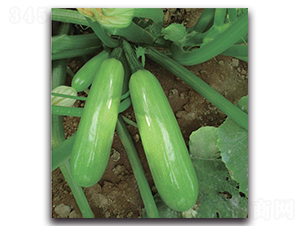 ��2̖-�����J�N��-�����o(j��)�N��