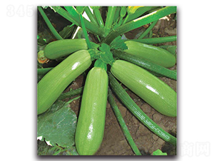 ��1̖-�����J�N��-�����o(j��)�N��