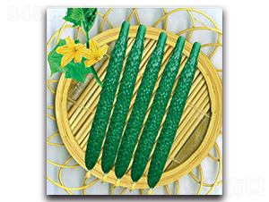 �½�13̖-�S�ϷN��-�����o(j��)�N��