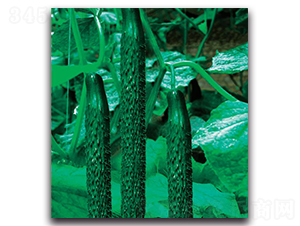 �½�11̖-�S�ϷN��-�����o(j��)�N��