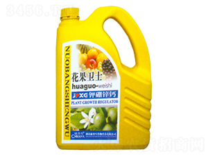 ����\�}-�����l(w��i)ʿ-������