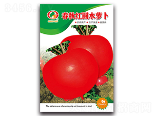 ����t�Aˮ�}��-�}���N��-�����N�I(y��)