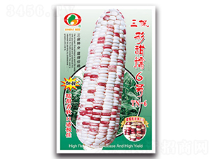 ��������Ŵ6̖-Ŵ���׷N��-�����N�I(y��)