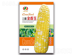 ����������-�����׷N��-�����N�I(y��)