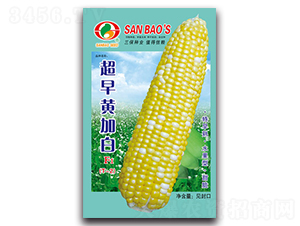 �����S�Ӱ�F1-�����׷N��-�����N�I(y��)