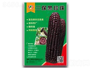 ����������-Ŵ���׷N��-�����N�I(y��)