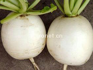 �d�G�A���}��-�}���N��-�d�G�N��