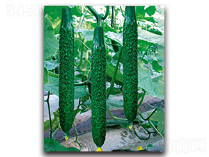 ����1̖-�S�ϷN��-��ľ�N��