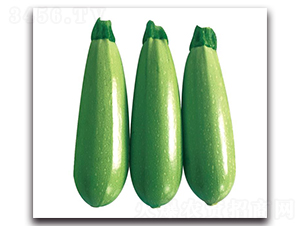 �ۿ�3̖-�����J�N��-��ľ�N��