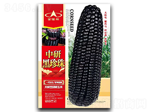 ���к�����-Ŵ���׷N��-��¡��