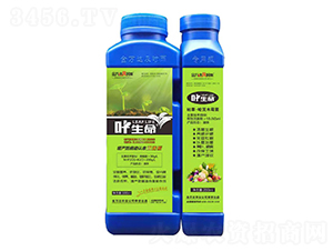 �ݲݡ�����ľù��-�~����-���f�_(d��)���r(sh��)��