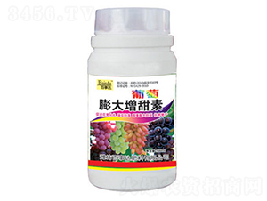 �������������-�����_(d��)