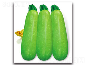 SA07-�����J�N��-�G�x�N�I(y��)