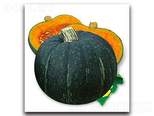 PA04-�ϹϷN��-�G�x�N�I(y��)