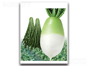 �~�G��-�}���N��-���}�r(n��ng)�I(y��)