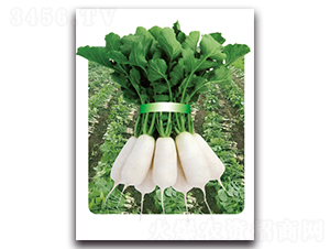 �r(n��ng)�Ґ۶�̖-�}���N��-���}�r(n��ng)�I(y��)