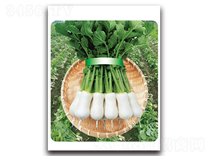 �r(n��ng)�Ґ�-�}���N��-���}�r(n��ng)�I(y��)