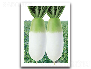 ��G������-�}���N��-���}�r(n��ng)�I(y��)