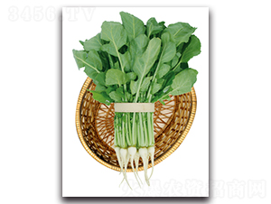 ��G��Ԫ�~-�}���N��-���}�r(n��ng)�I(y��)