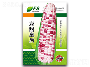 ����ʺ�-��Ŵ���׷N��-�S�T�N�I(y��)