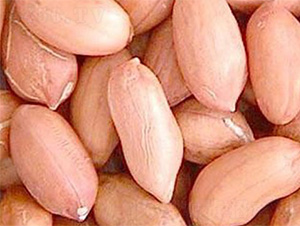 ����1̖(h��o)-�����N��-���S�r(n��ng)�I(y��)