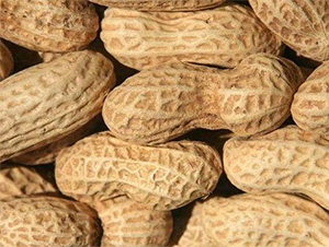 ԥ��15̖(h��o)-�����N��-���S�r(n��ng)�I(y��)