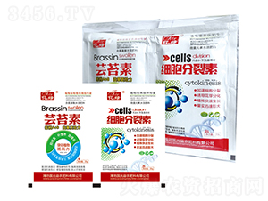 �|̦��+��(x��)��������-�������r(n��ng) 