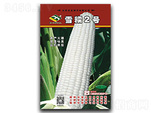 ѩŴ2̖(h��o)-Ŵ���׷N��-���S