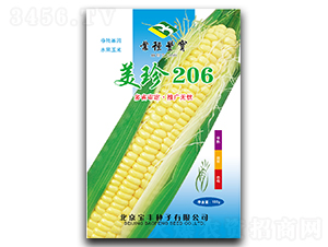 ����206-Ŵ���׷N��-���S