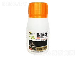 ������(l��)-�������-�挎