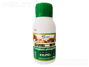 ����������-�������-�挎