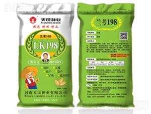 �����m��198��LK198�G����-С���N��-����N�I(y��)