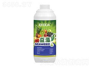 ����-����_(d��)-�к̄�(d��ng)��