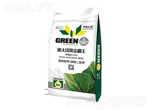 ����V�������-�Ј�R��