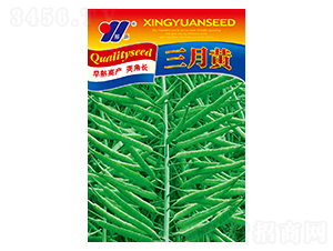 �����S-�Ͳ˷N��-��Դ�r�I(y��)